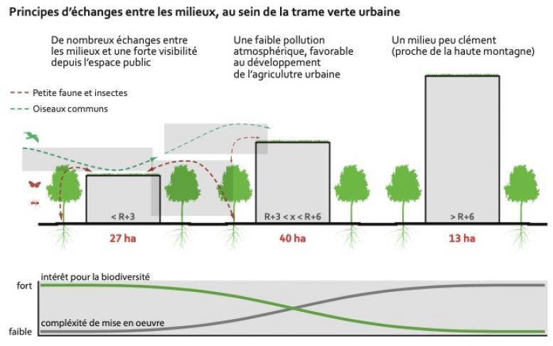11.Principes d'echanges entre les milieux au sein de la trame verte urbaine